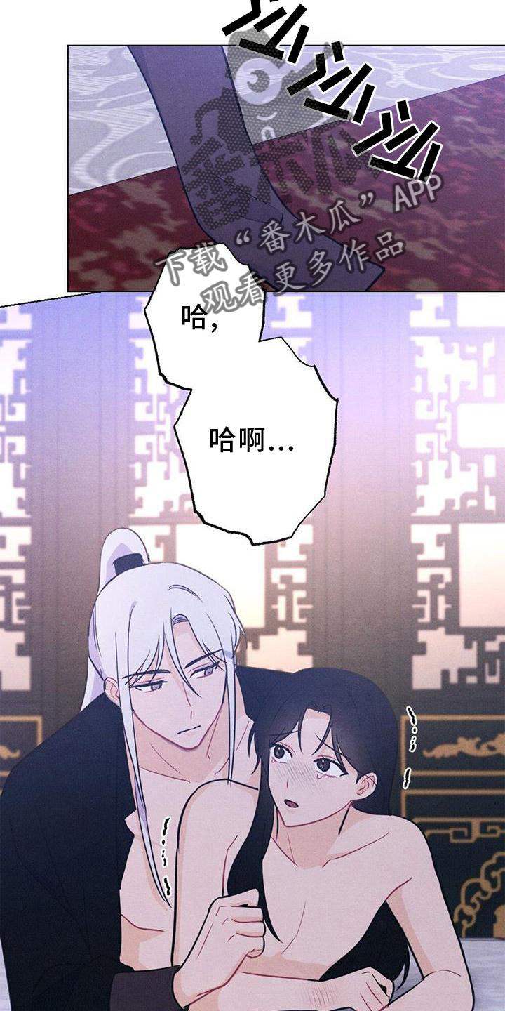 银狼的疼爱漫画,第41章：喜欢1图