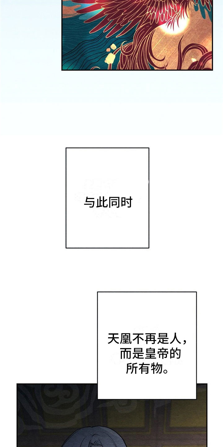 银狼的疼爱漫画,第2章：天凰2图