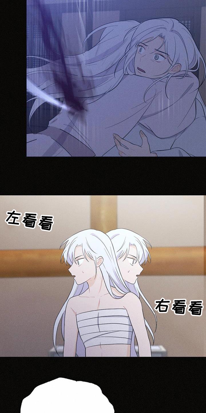 银狼的疼爱漫画,第78章：背叛2图