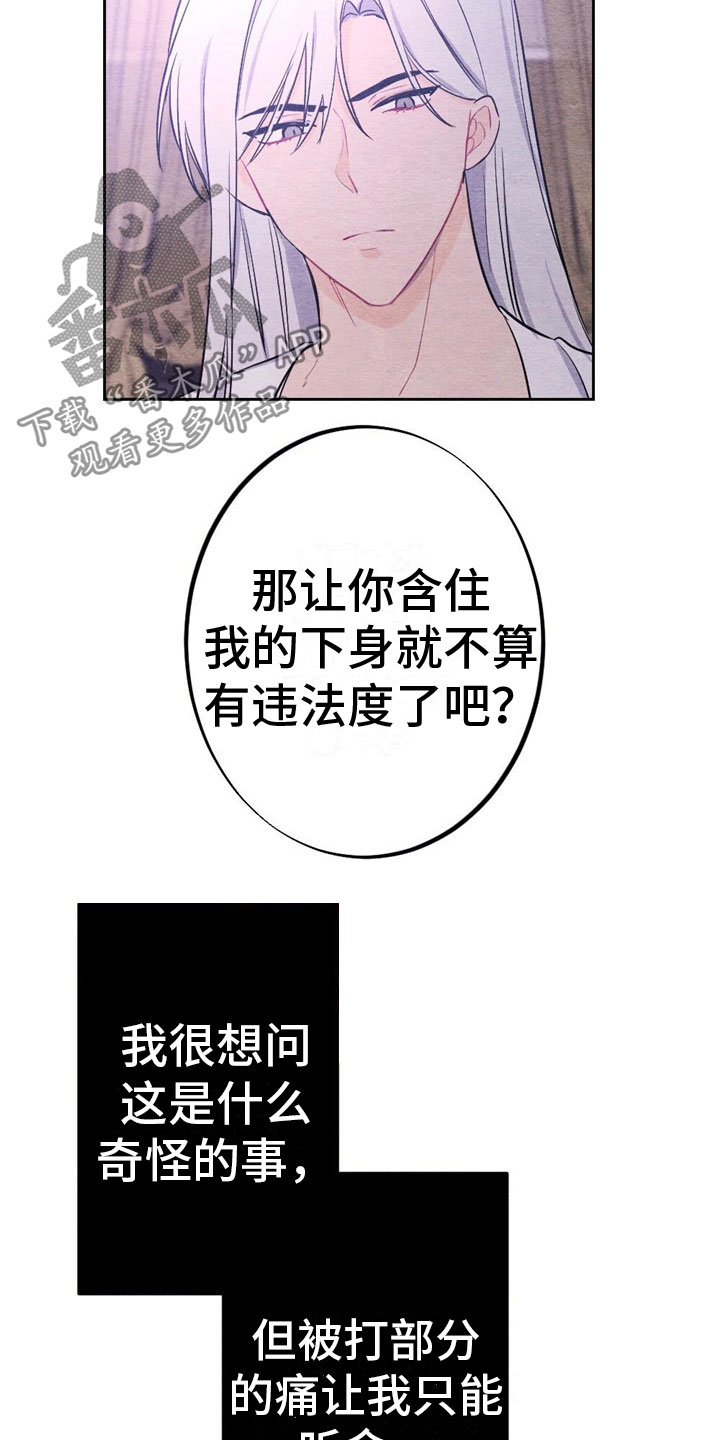 银狼的疼爱漫画,第12章：最后一次1图
