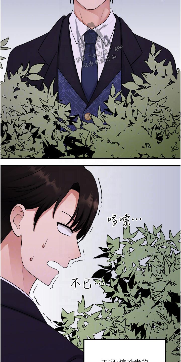 精灵妹抖小说原著叫什么名字漫画,第63章：家族2图