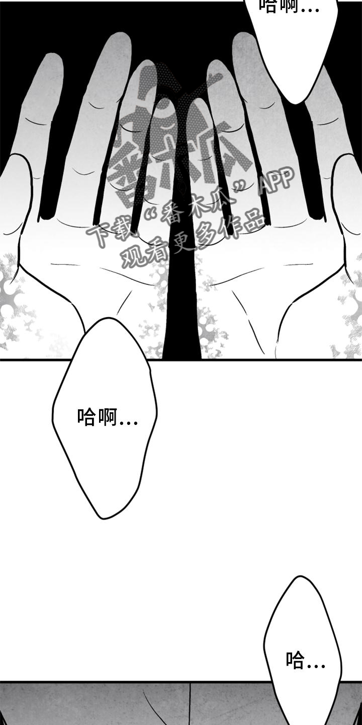 治愈人生的歌曲漫画,第117章：【第二季】忘记一切1图