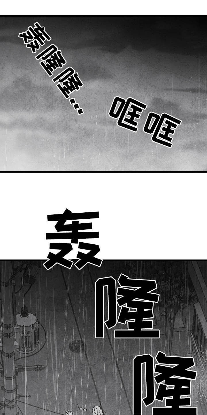 治愈人生短片漫画,第87章：【第二季】相片1图