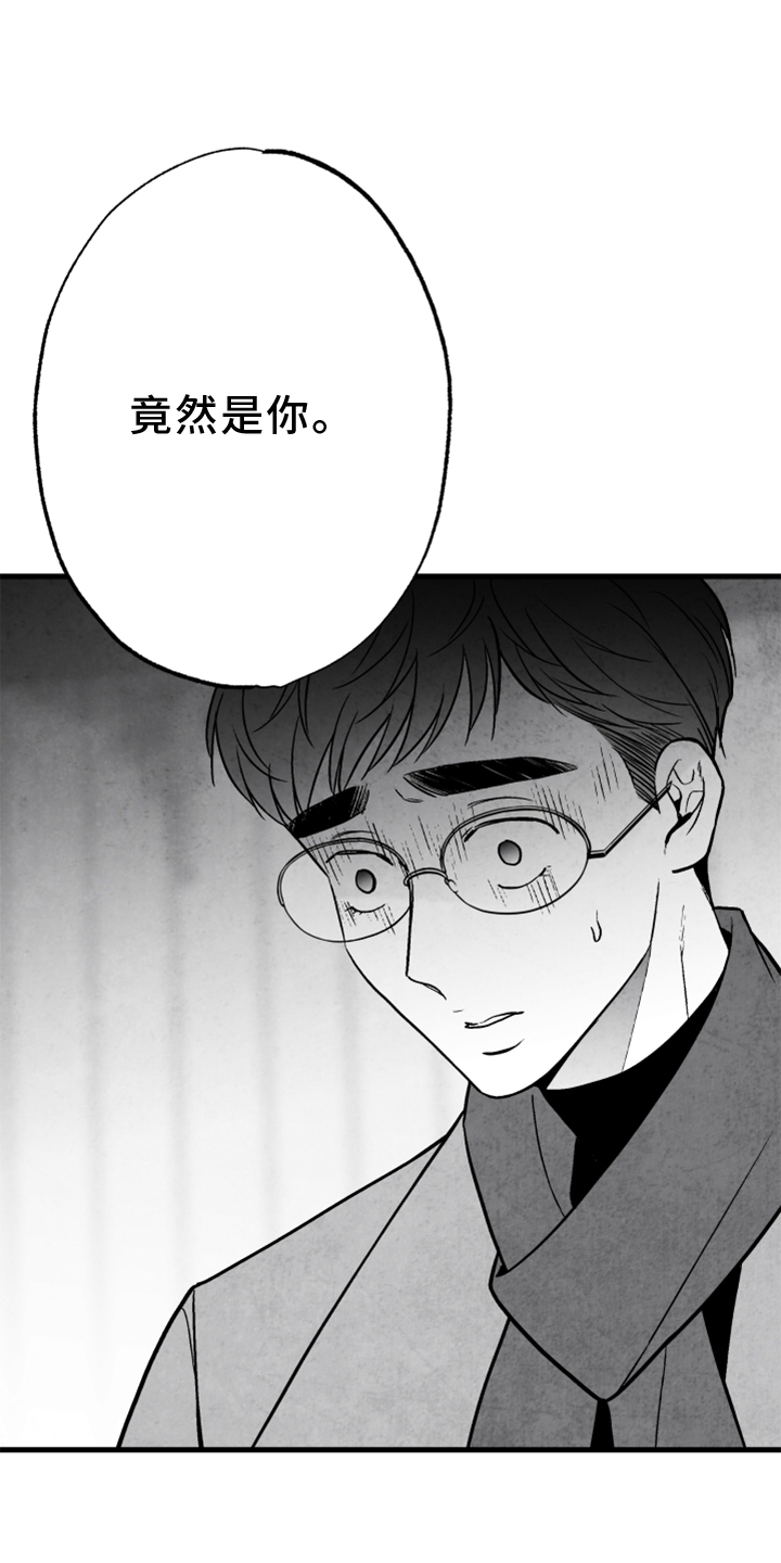 治愈人生一剪梅漫画,第121章：【第二季】真相2图