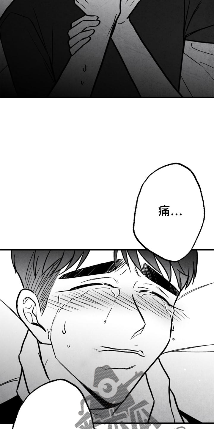 治愈人生的哲理漫画,第126章：【第二季】没有动静1图