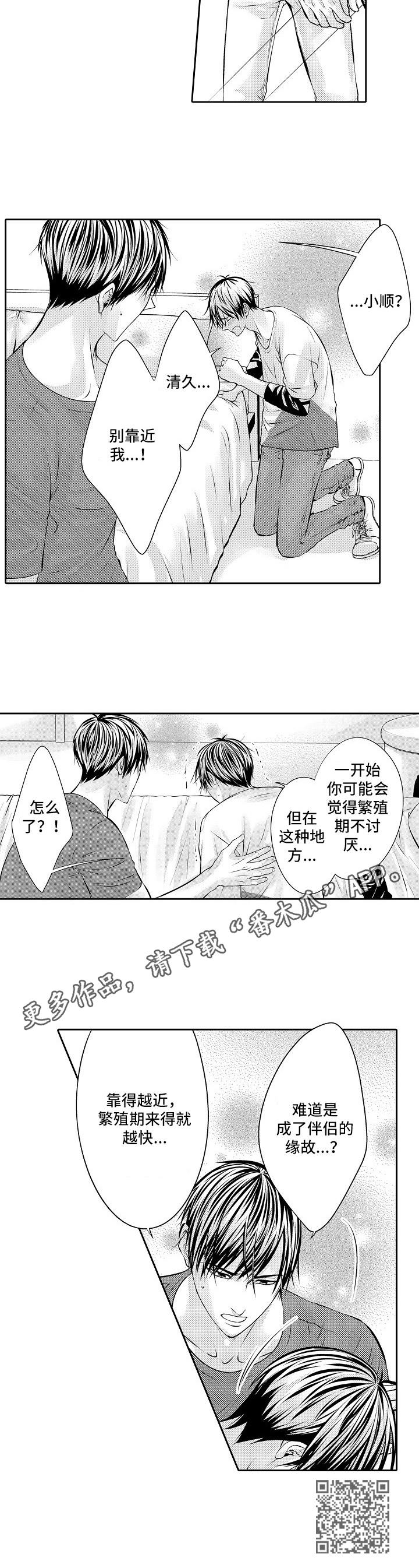 金三角的友情漫画,第12章：期待1图