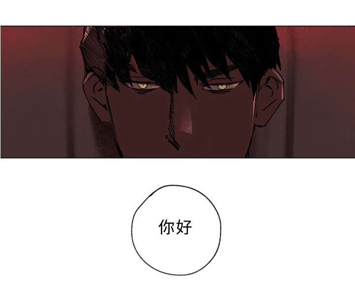 守护之证漫画,第37章：大结局1图