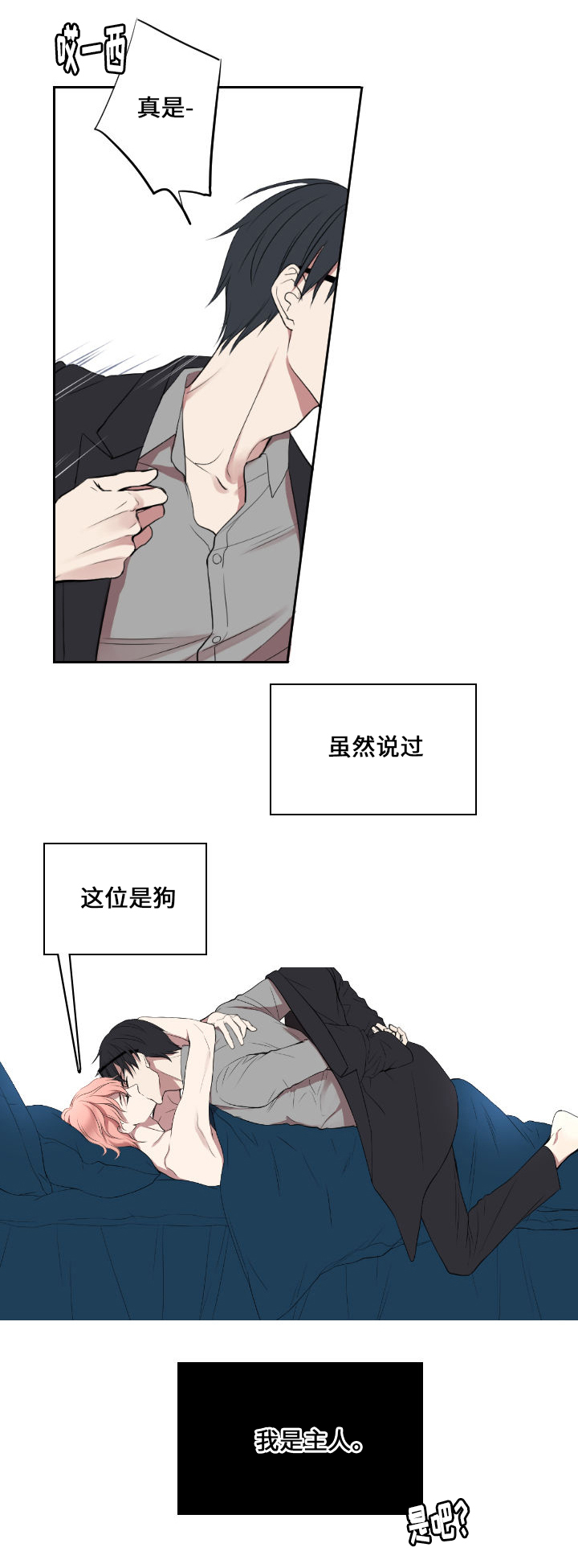 玩星铁的男生什么性格漫画,第1章：主人与狗1图