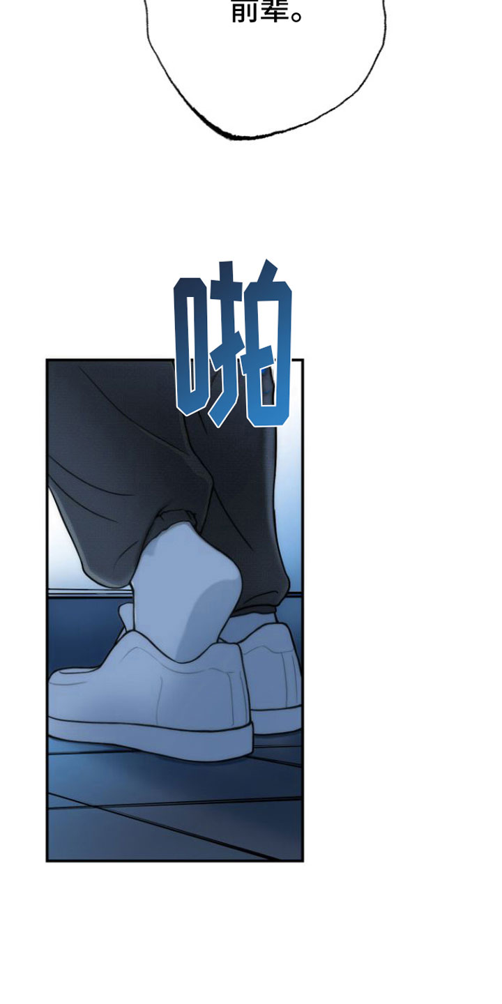 心连心黑力旺复合肥漫画,第6章：我等你2图