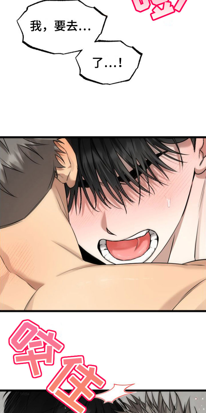驯龙一分钟小爆哥全部视频漫画,第19章：一起住【完】2图