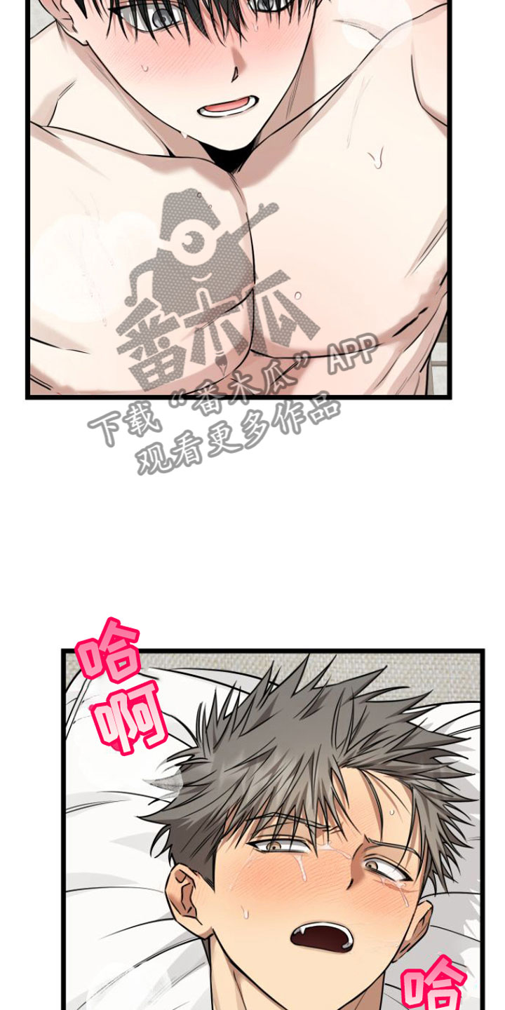 驯服龙百科漫画,第19章：一起住【完】2图