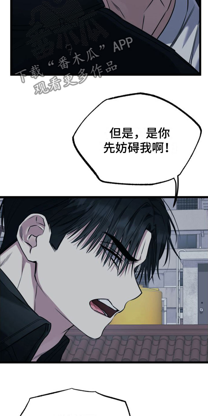 驯服龙百科漫画,第15章：告白1图