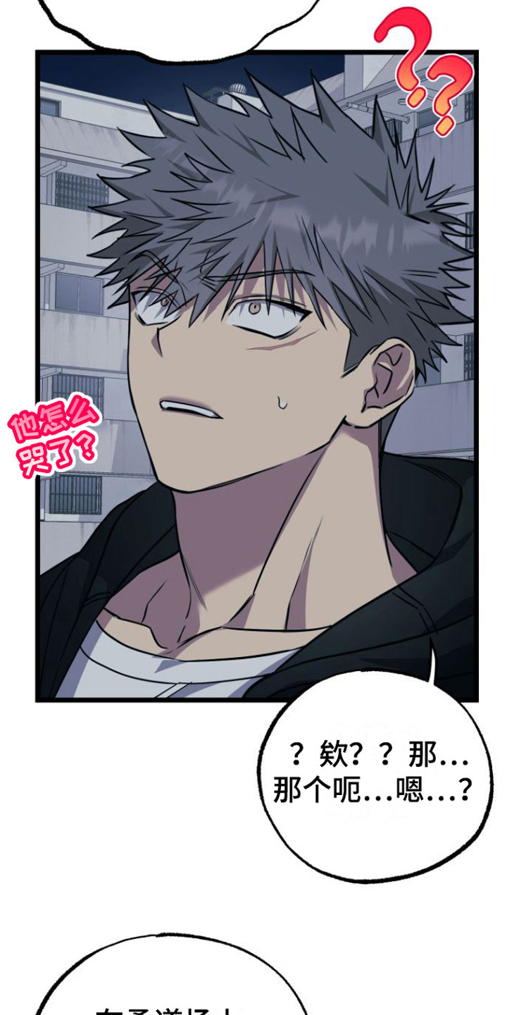驯服龙百科漫画,第15章：告白1图
