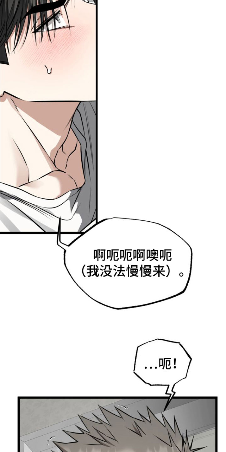 驯龙一分钟小爆哥全部视频漫画,第17章： 太可爱了2图