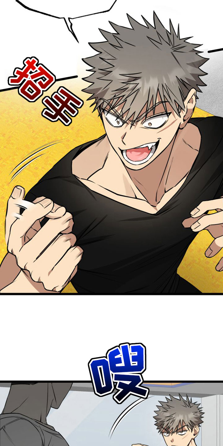 驯服龙百科漫画,第5章：同意2图