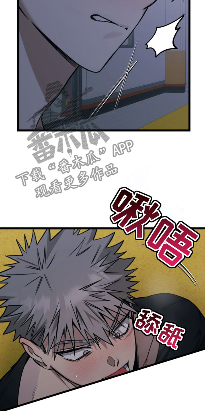 驯龙一分钟小爆哥全部视频漫画,第6章：愿赌服输1图