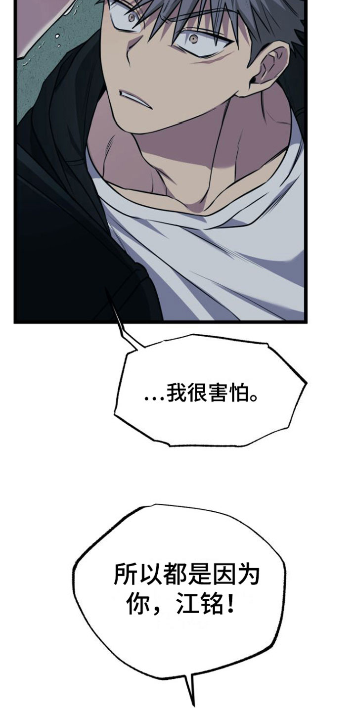 驯服龙百科漫画,第15章：告白1图