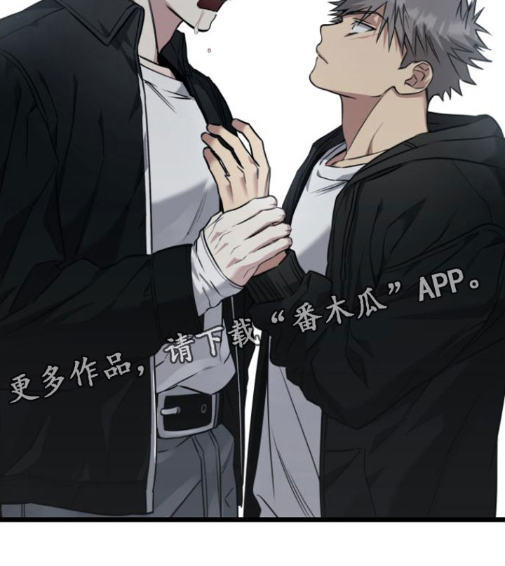 驯服龙百科漫画,第15章：告白1图