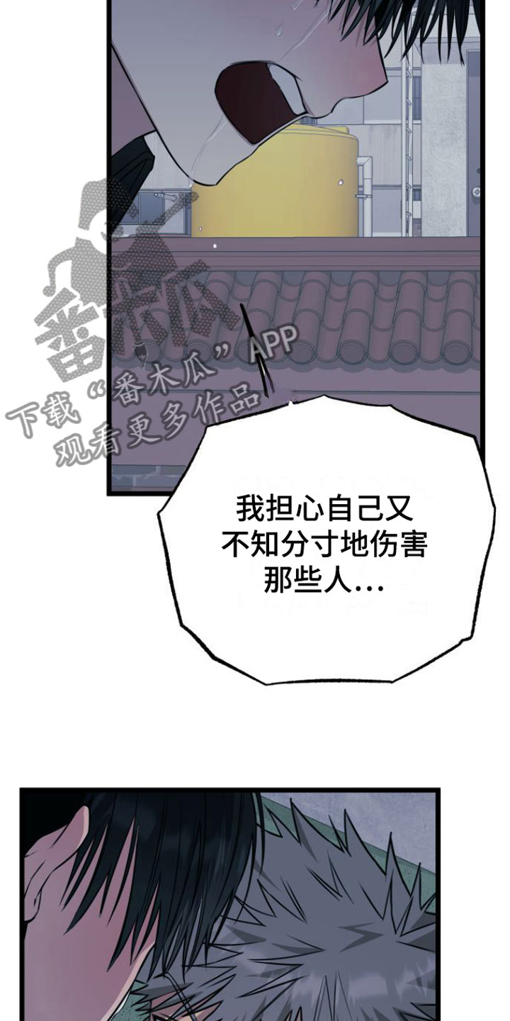 驯服龙百科漫画,第15章：告白2图