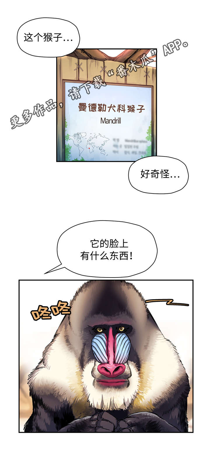 药物试验cs和ncs是什么意思漫画,第17章：动物园2图