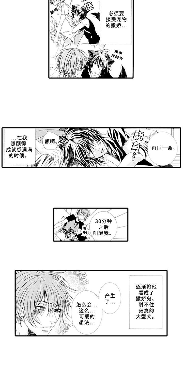 宠物保姆照顾猫一天的价格大概是多少漫画,第1章：兼职1图