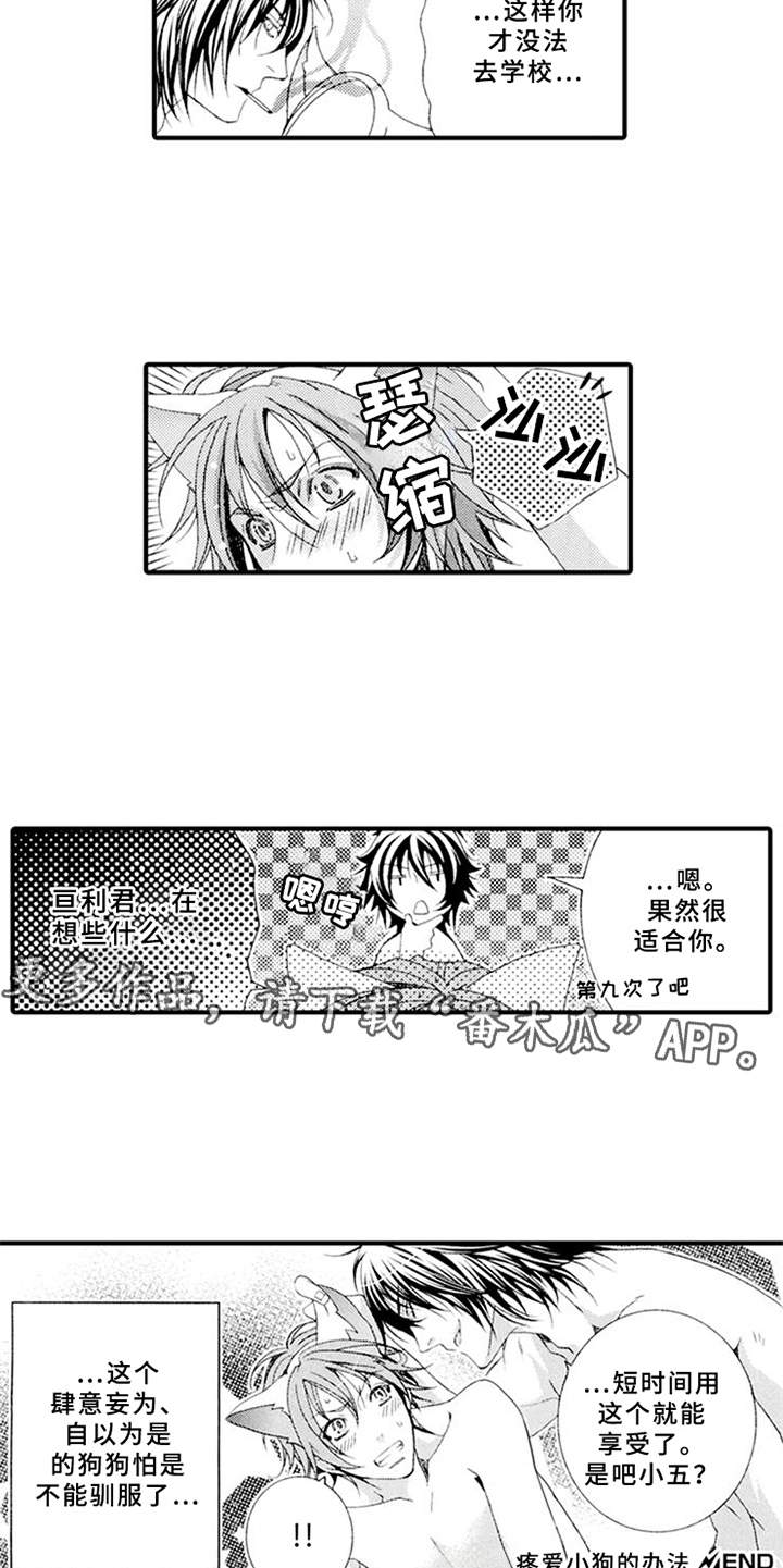 宠物保姆看护漫画,第5章：平等关系1图