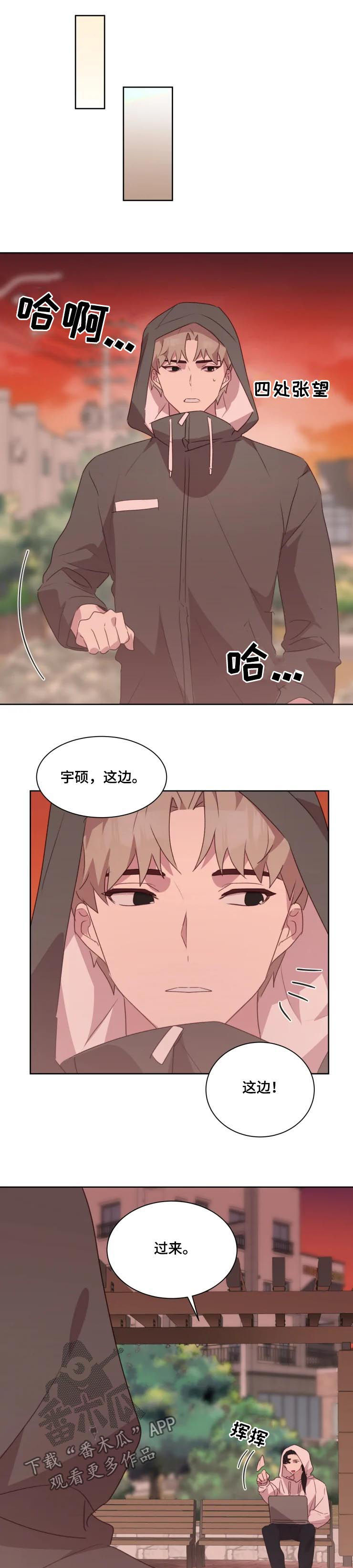 他的金丝雀全文免费阅读漫画,第37章：共同之处1图