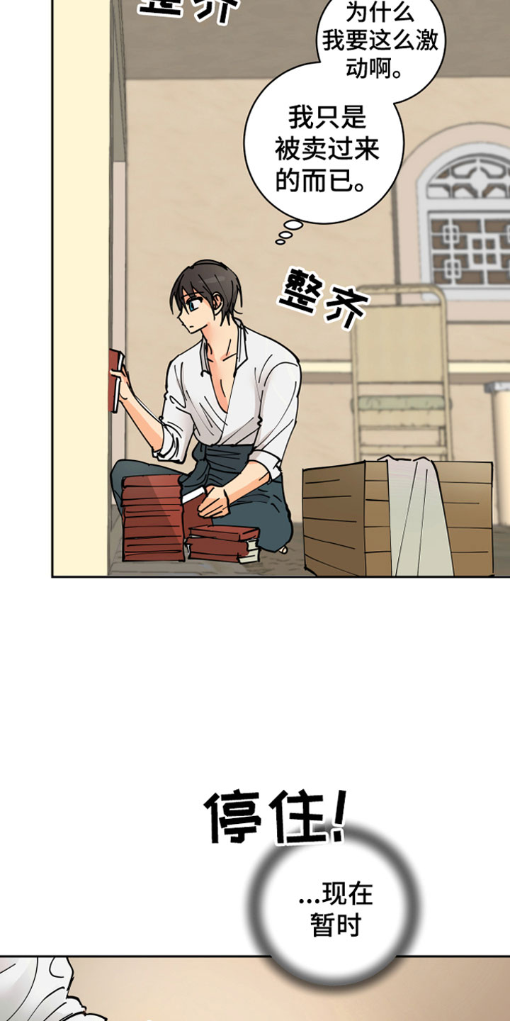 爱德基金会漫画,第13章：决心2图