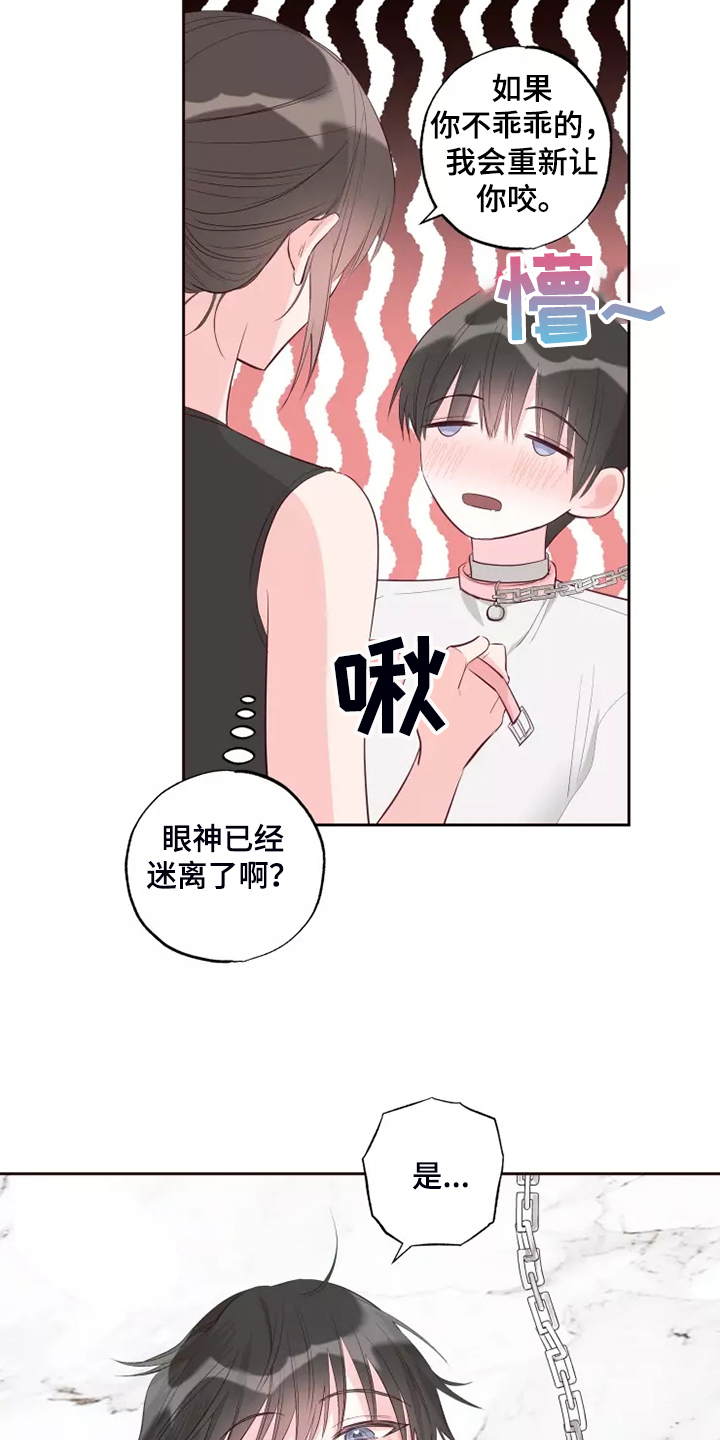 奇妙的化学漫画,第72章：忘了的人1图