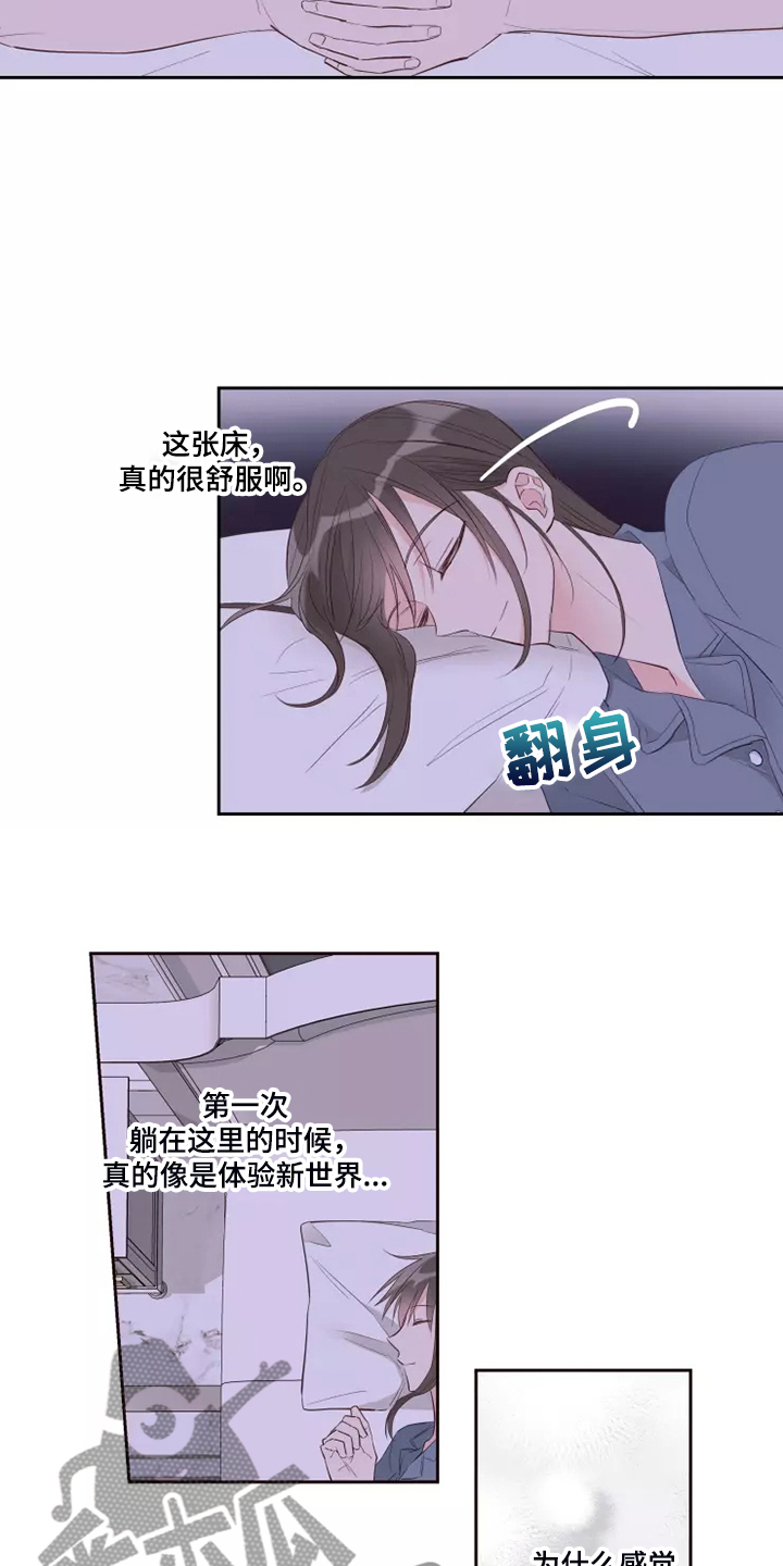 奇妙的相遇呀漫画,第67章：那就同归于尽吧2图