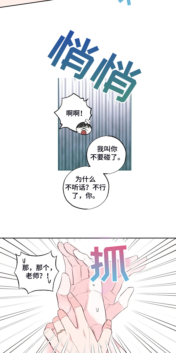 奇妙的偶遇就在身边漫画,第64章：今天我做主2图