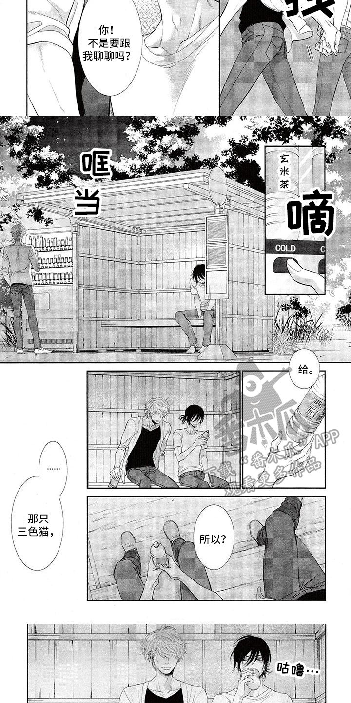 猫系男友发型推荐漫画,第10章：心烦1图