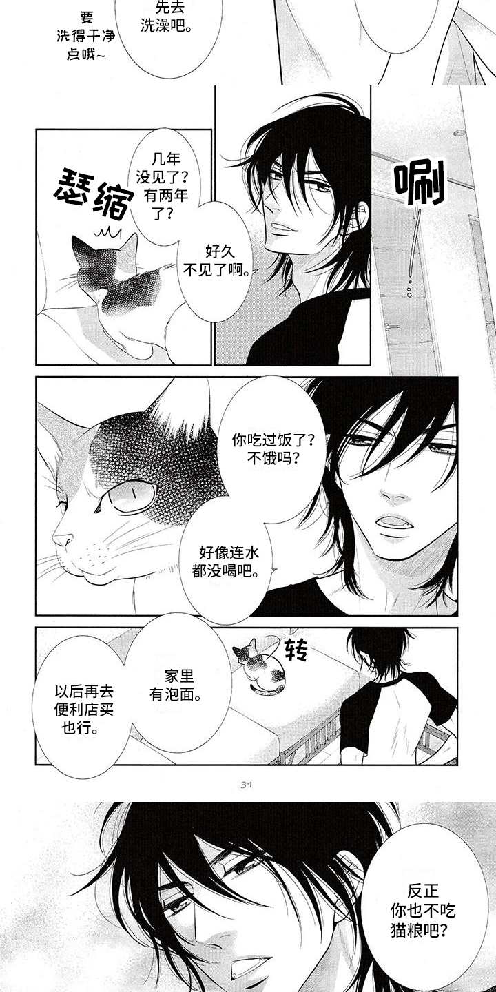 猫系男友图片漫画,第3章：理直气壮2图