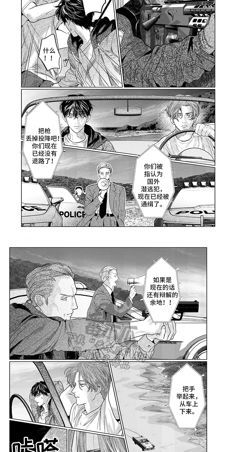 远方的家北纬30度中国行漫画,第27章：缉捕2图