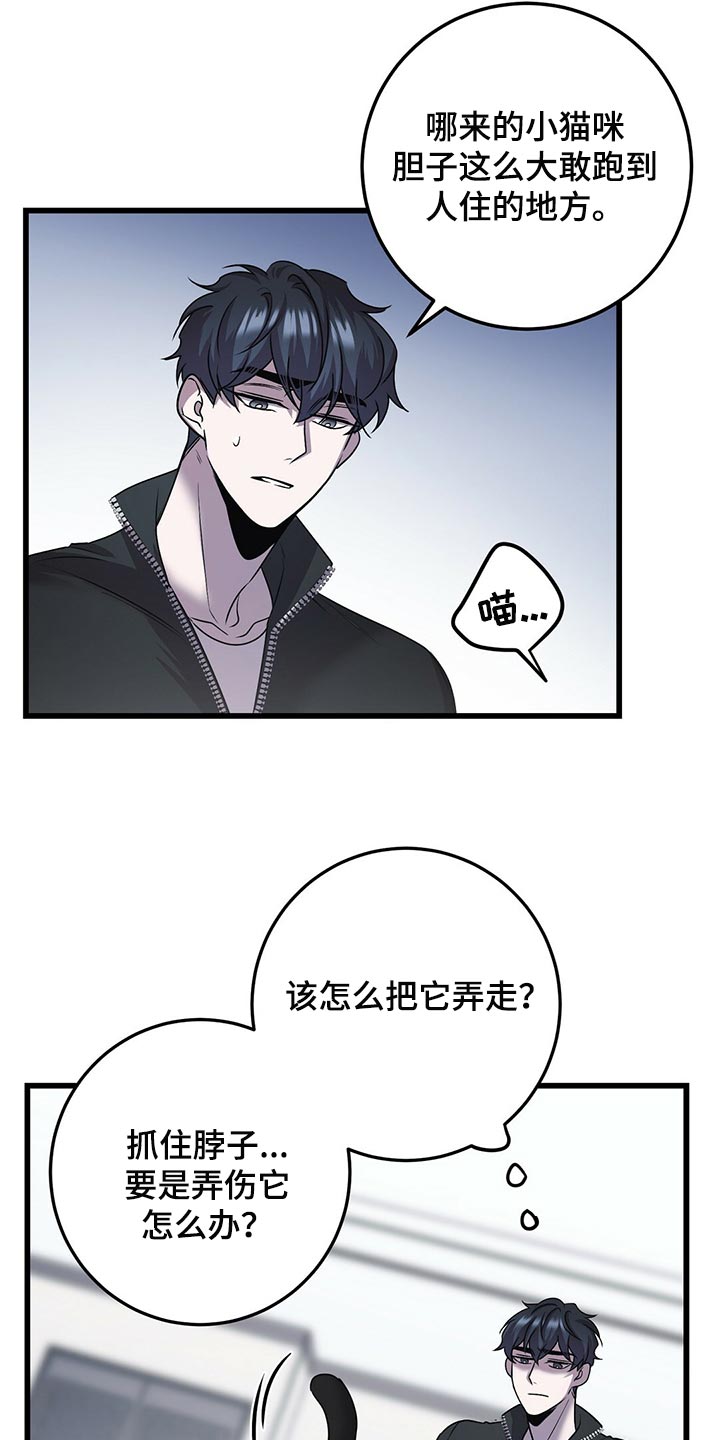 黑洞怪物韩漫原名叫什么漫画,第29章：聪明的猫咪1图