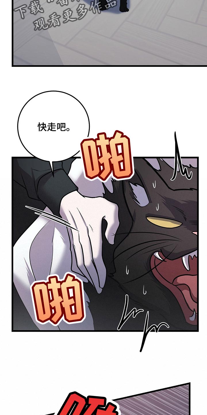 黑洞怪物漫画全集免费阅读漫画,第29章：聪明的猫咪1图