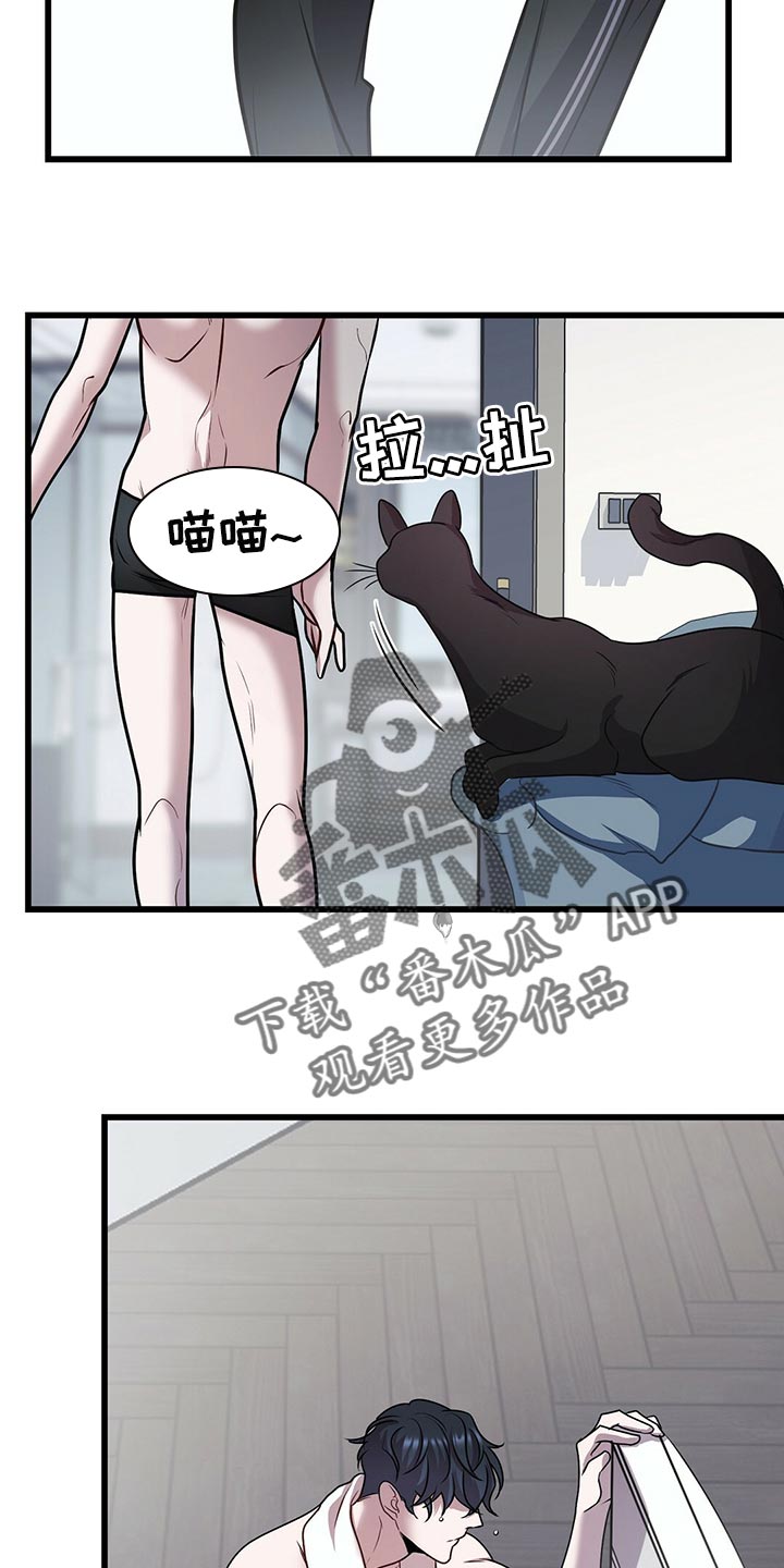 黑洞怪物漫画全集免费阅读漫画,第29章：聪明的猫咪2图