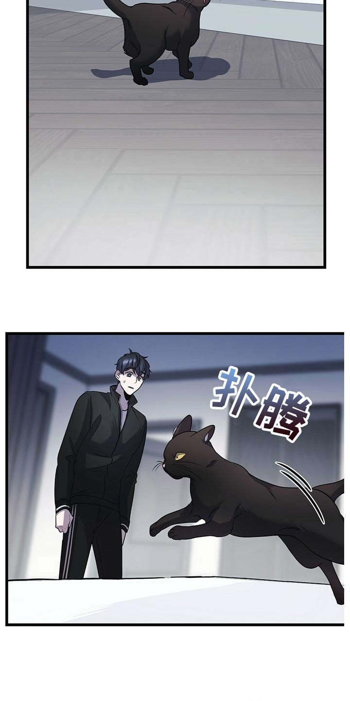 黑洞怪物漫画,第29章：聪明的猫咪2图