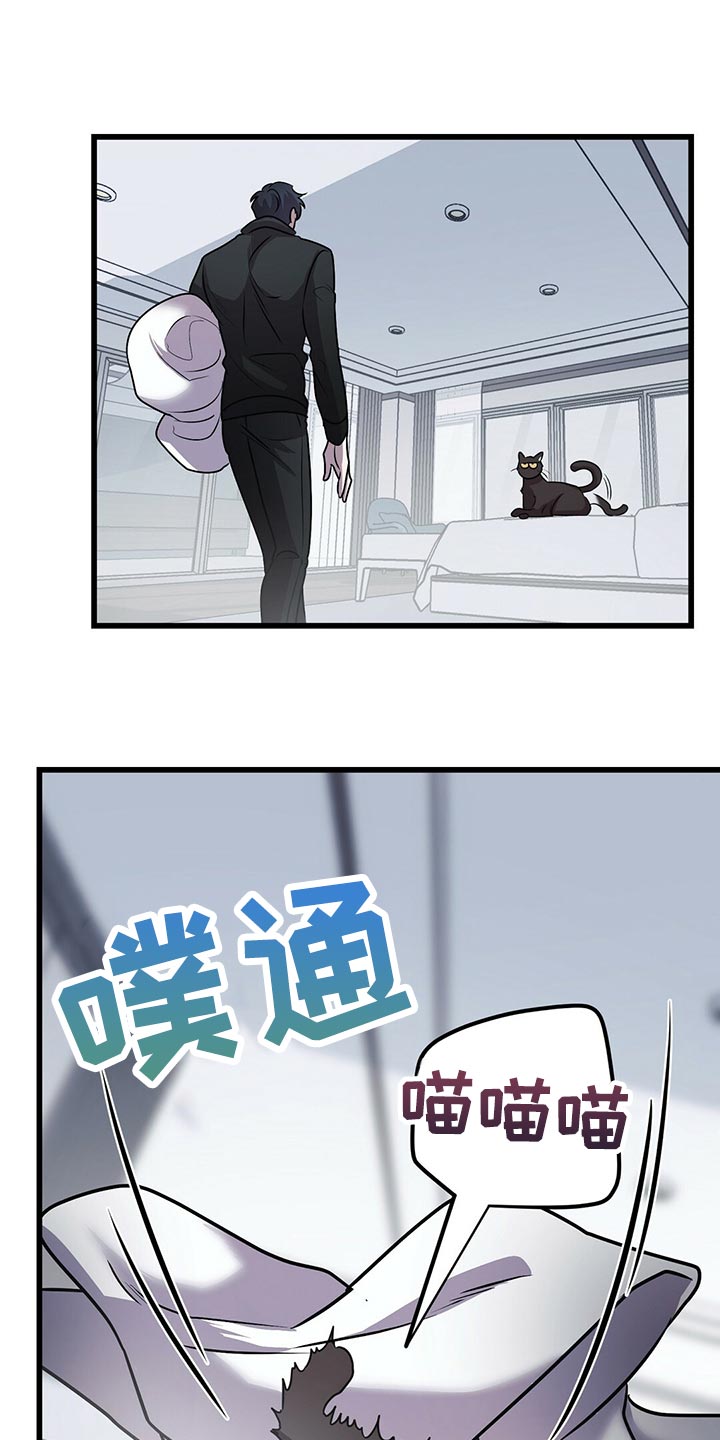 黑洞怪物漫画全集免费阅读漫画,第29章：聪明的猫咪2图