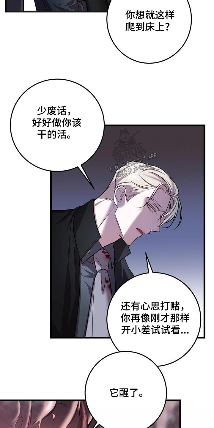 黑洞里的怪兽漫画,第69章：打赌1图