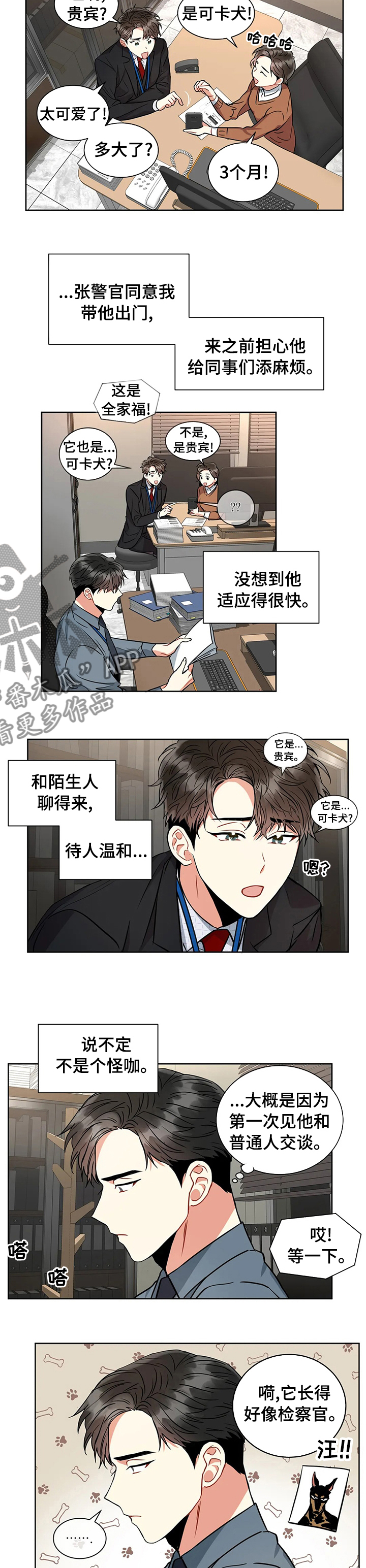 癫狂之境其他名字漫画,第39章：检测结果2图