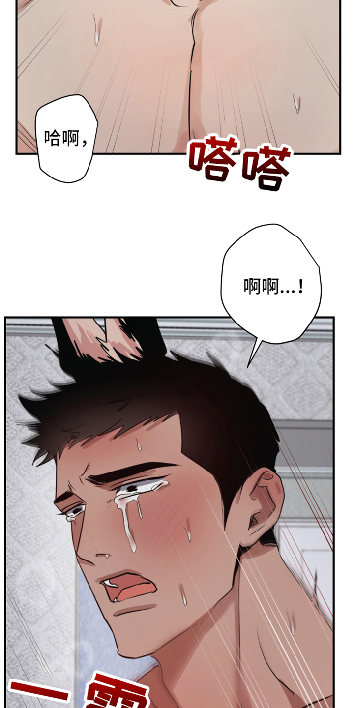 日久生情是权衡利弊漫画,第8章：兔子兽人2图