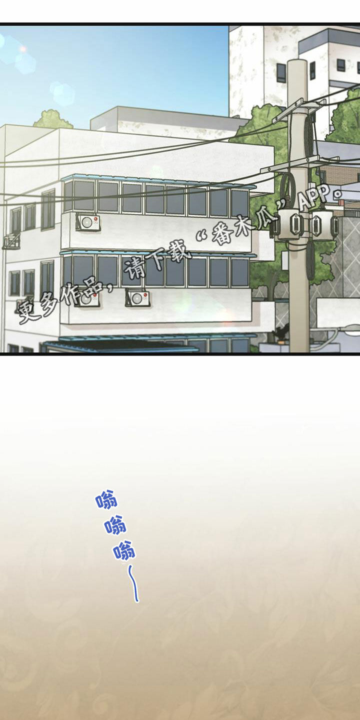 意外的邂逅漫画,第41章：条件1图