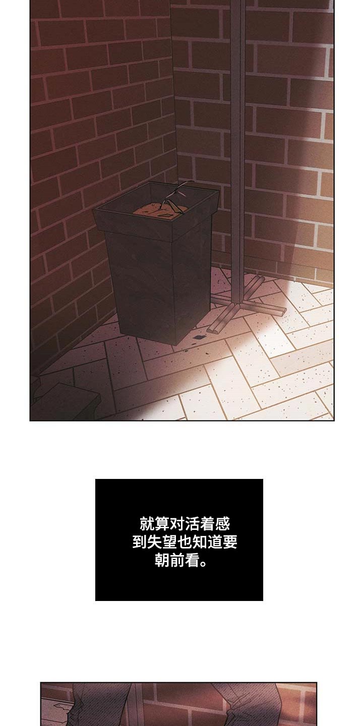舍得52度浓香型多少钱一瓶漫画,第74章：最简单的结局2图