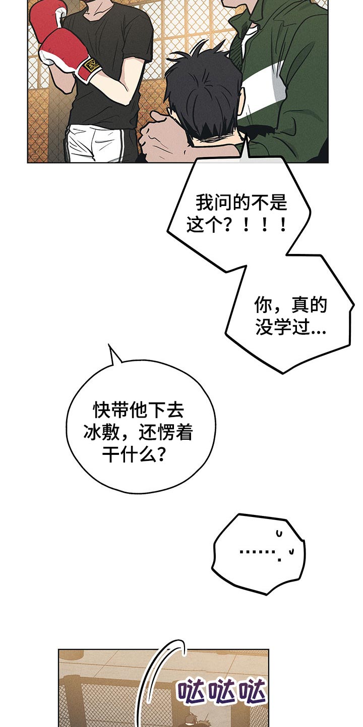 舍得52度浓香型多少钱一瓶漫画,第68章：拳击训练1图