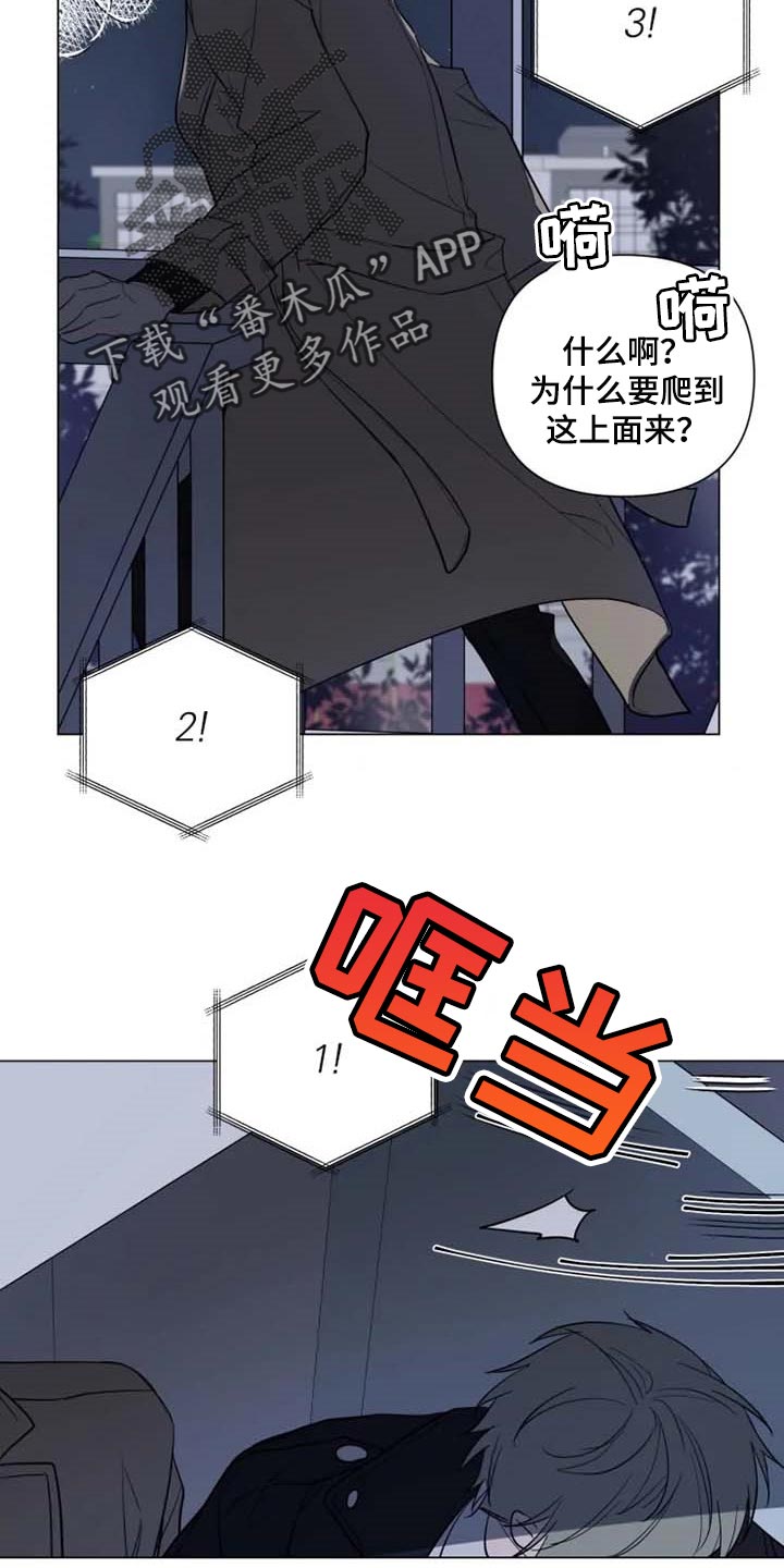 小小恋人漫画在线看漫画,第52章：烟花2图