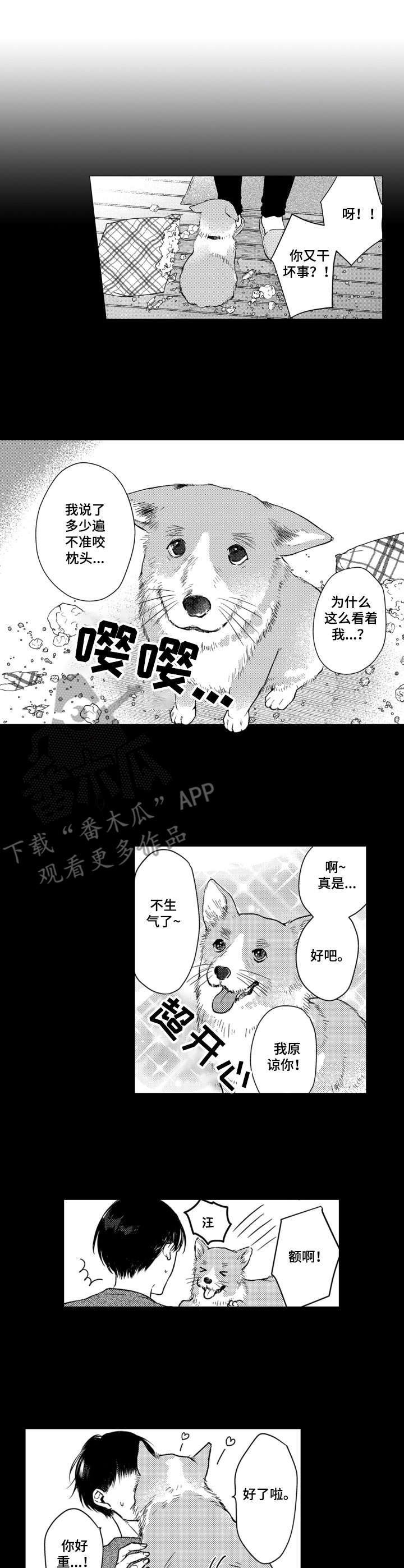 交友平台限制微信聊天怎么办漫画,第7章：脑壳疼1图