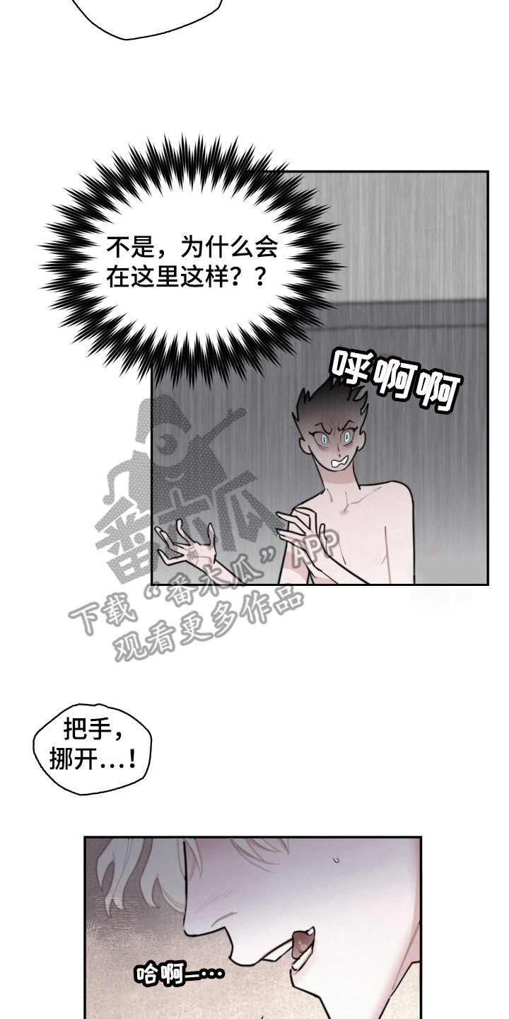 血腥玛丽女王简介漫画,第6章：疯了2图