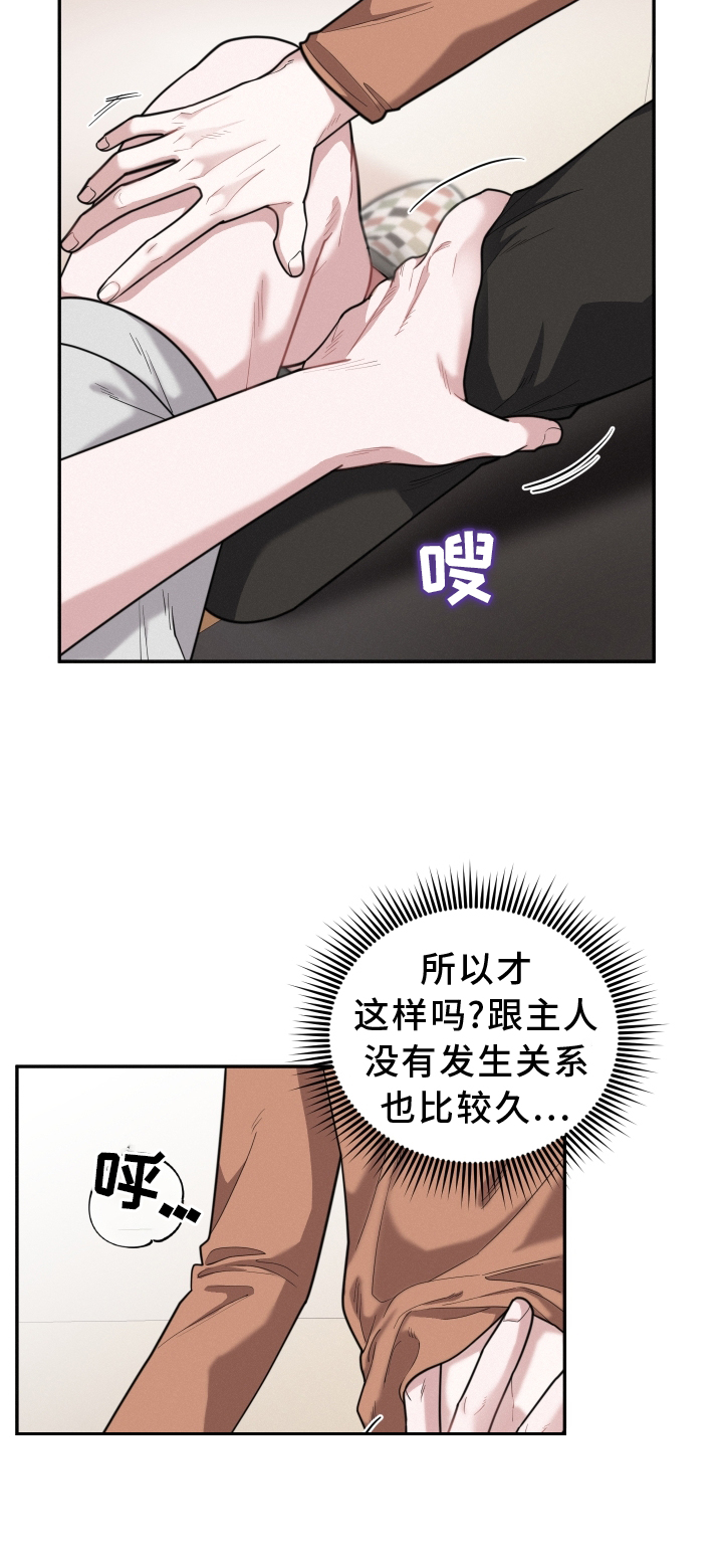 血腥宠儿末删减漫画,第46章：期待1图