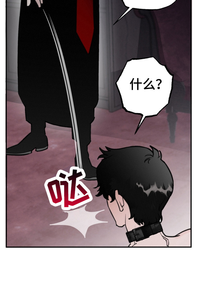 血腥虫历险记在线玩漫画,第2章：主人1图